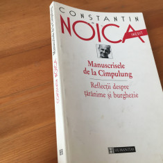 CONSTANTIN NOICA, MANUSCRISELE DE LA CAMPULUNG-INEDITE/DESPRE TARANIME/BURGHEZIE