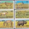 DB1 Fauna Africana Ciad Chad 1979 WWF NDT Rara 6 v. MNH