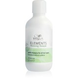 Wella Professionals Elements Renewing șampon regenerator pentru toate tipurile de păr 100 ml