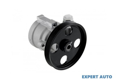 Pompa servodirectie Renault Scenic I (1999-2003)[JA0/1_,FA0/1_] #1 foto