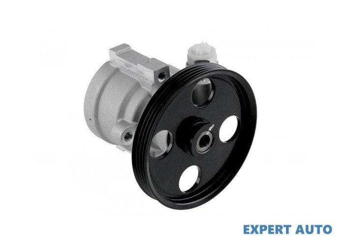 Pompa servodirectie Renault Scenic I (1999-2003)[JA0/1_,FA0/1_] #1