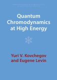 Quantum Chromodynamics at High Energy