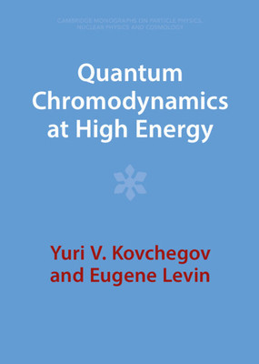 Quantum Chromodynamics at High Energy foto