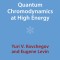Quantum Chromodynamics at High Energy