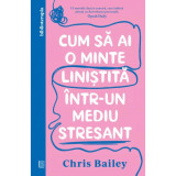 Cum sa ai o minte linistita intr-un mediu stresant, Chris Bailey