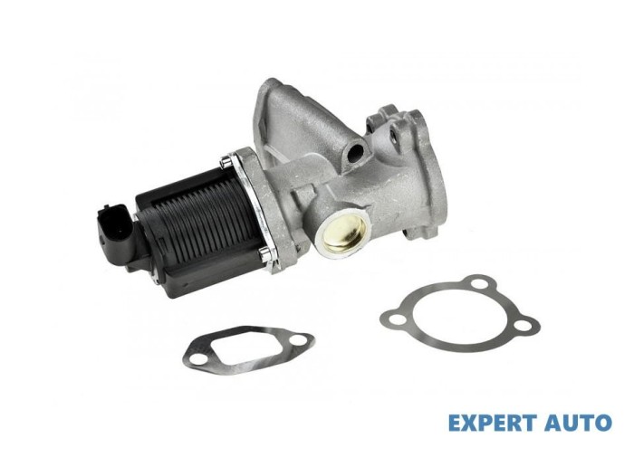 Egr Opel Astra H (2004-2009)[A04] #1