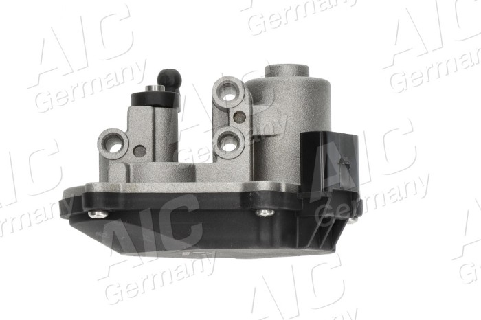 AIC 58363 Calitatea originală AIC Element reglaj, clapeta (galerie