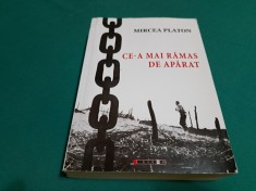 CE-A MAI RAMAS DE APARAT / MIRCEA PLATON/ 2016 * L foto