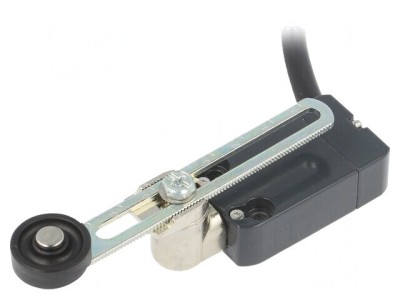 Limitator cursă NO NC 10A cablu 2m foto
