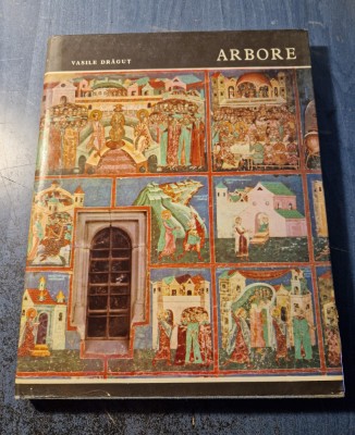 Dragos Coman maestrul frescelor de la Arbore Vasile Dragut foto