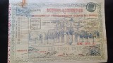 Actiune nominativa a sindicatului proprietarilor urbani din Buzau-500 LEI-1920