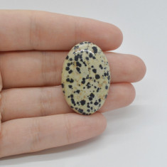 Cabochon jasp dalmatian 33x22x6mm c100