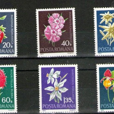 Flori rare, monumente ale naturii, floare de colt, 1972, nr. lista 794, MNH
