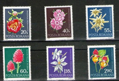 Flori rare, monumente ale naturii, floare de colt, 1972, nr. lista 794, MNH foto