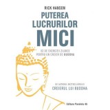 Puterea lucrurilor mici. 52 de exercitii zilnice pentru un creier de Buddha - Rick Hanson, Paralela 45