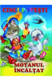 Cinci povesti. Motanul incaltat
