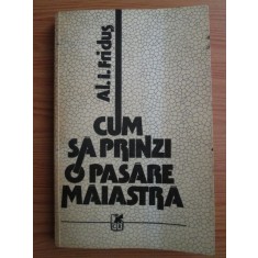 Al. I. Fridus - Cum sa prinzi o pasare maiastra