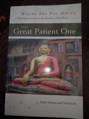 Great Patient One Dhamma Books - Ajahn Sucitto, Nick Scott foto