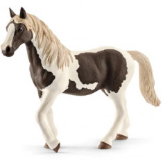 Figurina - Iapa Pinto | Schleich