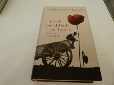 Jacob beschliesst zu lieben - Catalin Dorian Florescu foto