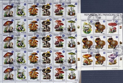 PARAGUAY - CIUPERCI 7 VALORI 5 SERII IN 2 COLI-OBLITERATE - foto