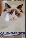 Calendar de perete 12 file. Pisici 2026