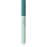 Cumpara ieftin Payot P&acirc;te Grise Stylo Duo Purifiant Correcteur corector pentru reducerea imperfecțiunilor 2x3 ml