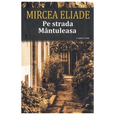 Pe Strada Mantuleasa foto