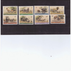 22-TANZANIA-Animale din Africa-leu-pantera-Serie de 14 timbre nestampilat MNH