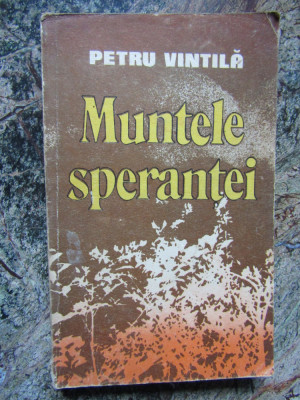 MUNTELE SPERANTEI-PETRU VINTILA foto