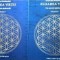 Floarea Vietii. Un Secret Stravechi (vol. I + II) - Drumvalo Melchizedek