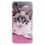 Husa silicon pentru Apple Iphone 4 / 4S, Siamese Kitty