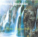 Marius Simidrean - Muzica Instrumentala, CDr