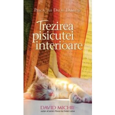 Trezirea pisicutei interioare &ndash; David Michie