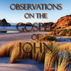 Observations on the Gospel of John