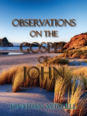 Observations on the Gospel of John foto