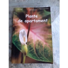 PLANTE DE APARTAMENT - MARIN ANDREI
