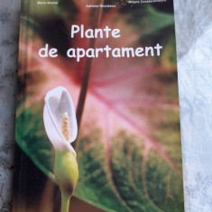 PLANTE DE APARTAMENT - MARIN ANDREI