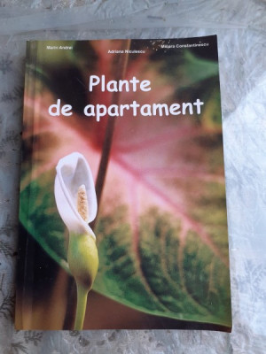 PLANTE DE APARTAMENT - MARIN ANDREI foto