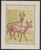 Albania 1962 , Fauna , Caprioara , Cerb , colita dantelata , MNM , Mi.15