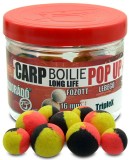 Haldorado - Carp Boilie Long Life Pop-Up - TripleX (40g 16,20mm)