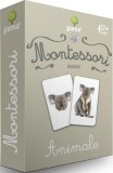 Montessori. Asocieri - Animale - LIBHUMANITAS