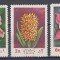 IRAN 1972 FLORA FLORI SERIE MNH