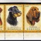 ROMANIA 2005 LP 1694 CAINI DE VANATOARE SERIE CU TABS MNH