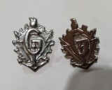 S 13 - semne de arma - metalice - geniu - model vechi - argintii