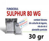 Fungicid Sulphur 80 WG 30 gr, Agrostulln