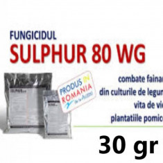 Fungicid Sulphur 80 WG 30 gr