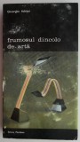 Frumosul dincolo de arta &ndash; Gheorghe Achitei - Carte