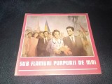 ION SEGARCEANU - SUB FLAMURI PURPURII DE MAI 1989 CARTE POEZII