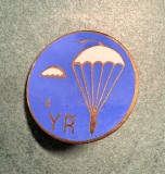 Insigna Aeroclubul Romaniei Parasutisti
